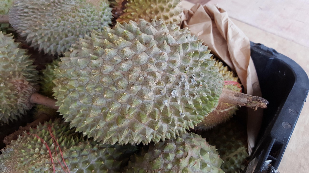 菲律宾长滩岛美食攻略_结论释义解释落实_CT77.622