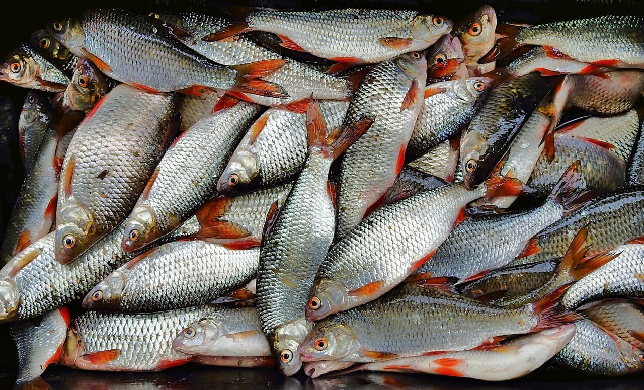 犀浦特色美食，味蕾上的文化之旅
