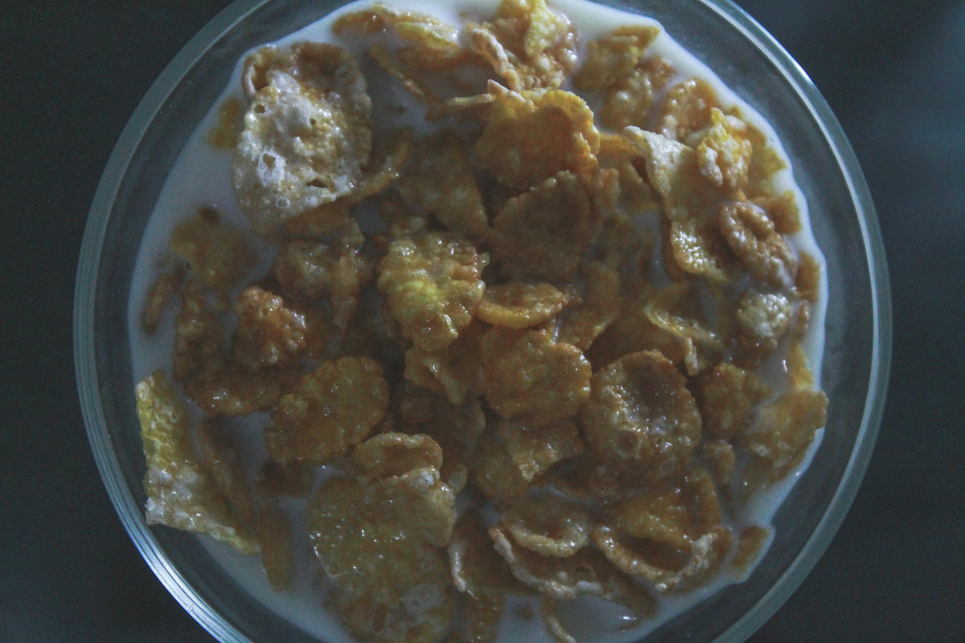 探索味蕾之旅，旅游卫视美食节目的饕餮盛宴