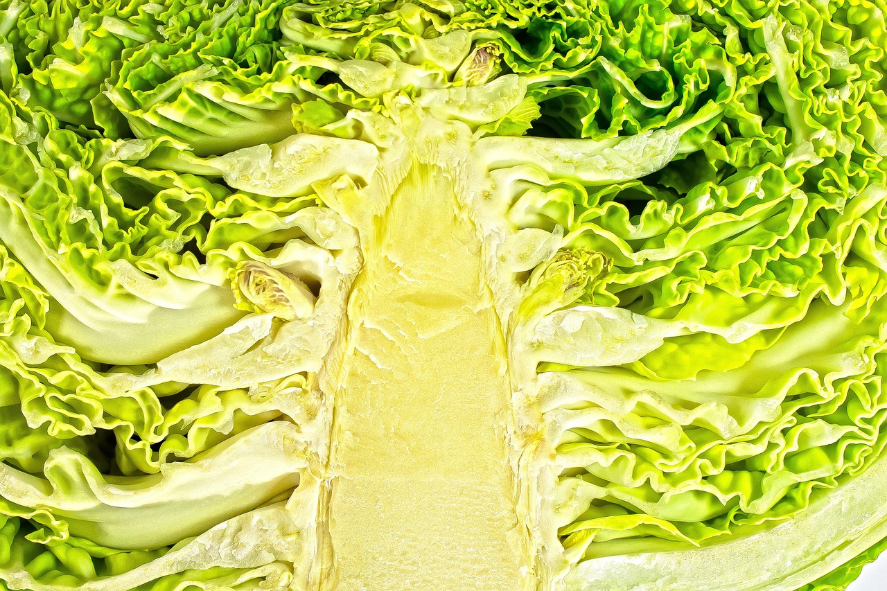 广州老广特色美食