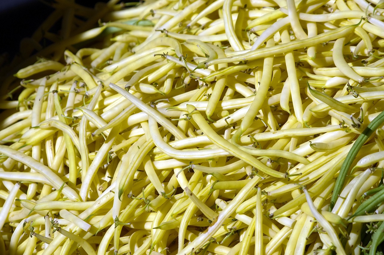 豆类美食大全图片