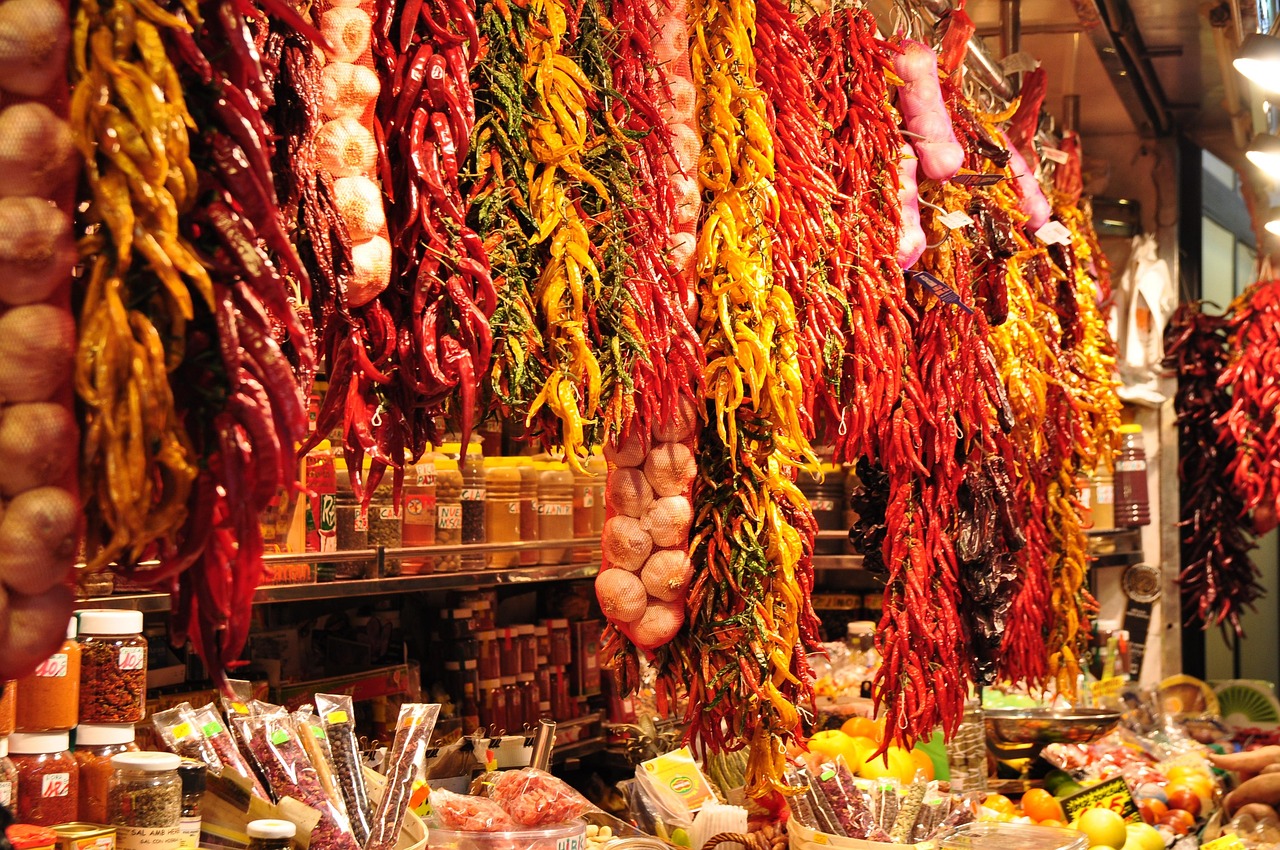 味蕾之旅，全国美食探索记