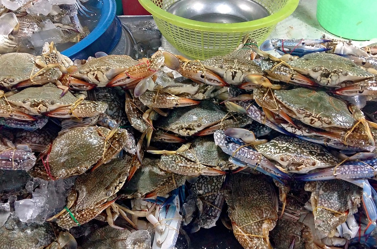 三亚旅游美食推荐，舌尖上的热带风情